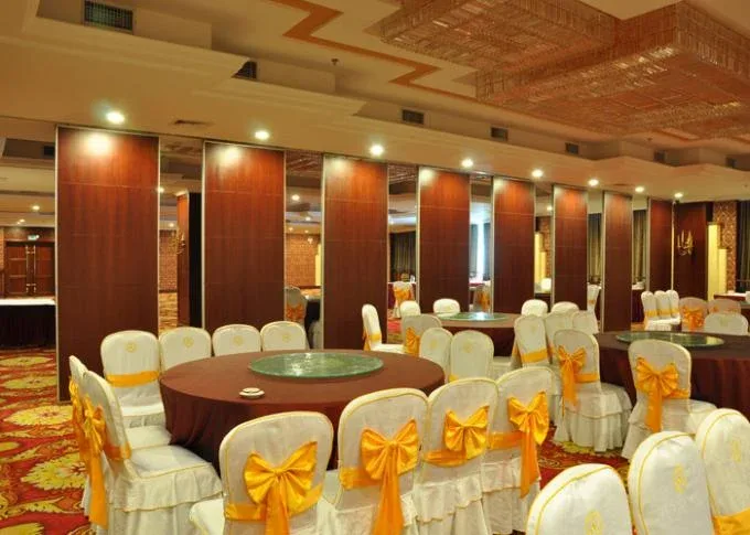 2.56 Inch Folding Internal Doors Lightweight Removable Partition Panel 2