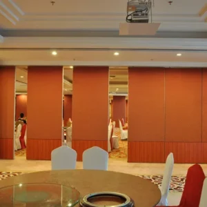 2.56 Inch Folding Internal Doors Lightweight Removable Partition Panel
