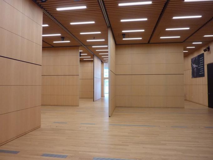 Acoustic Fabric Finish Collapsible Sliding Partition Wall Partner For India ODM 0