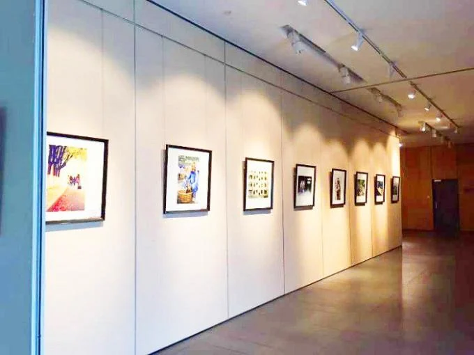 Acoustic Movable Partition Wall Systems For Exhibition Place / Hospital 3