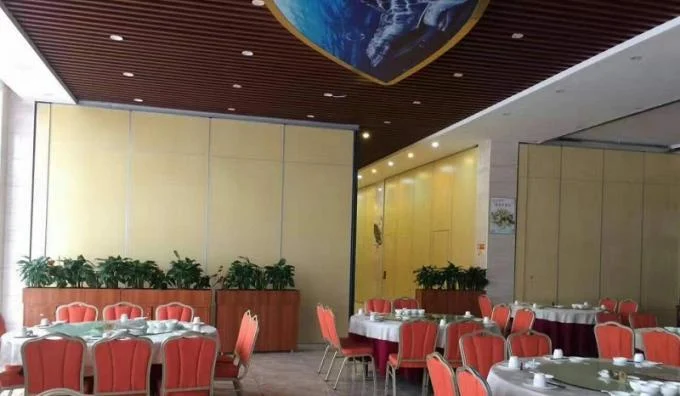Acoustic Sliding Door Office Partition Walls System Philippines Design 2