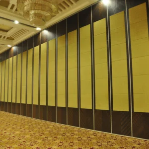 Auditorium Sliding Doors Partition Walls For International Convention Centers