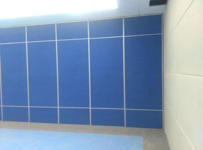 Classroom Movable Doors 65 mm Wall Partition Panel For Auditorium Removable Doors 1