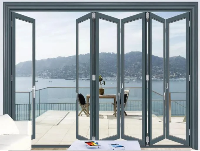 EBUNGE Exterior Double Glazed Glass Doors Folding Partition Door For Residential Or Commercial 0