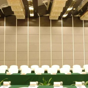 Folding Door Design Movable Partition Walls Room Partition For Conference Center