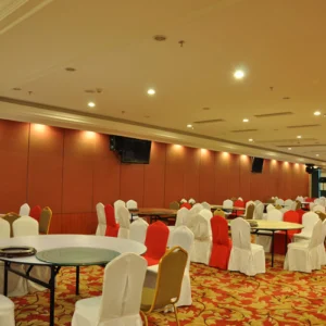 Lecture Partition Theatre Movable Walls Commercial Fabric Partition Walls
