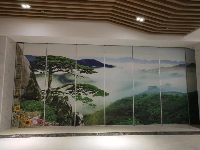 Multi Color Restaurant Partition Wall System With Aluminium Trolley Sliding Folding Doors 0