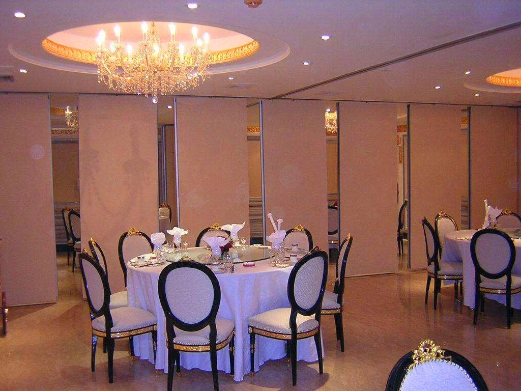 Multi - Function Room Folding Sliding Partition Walls Customized Color