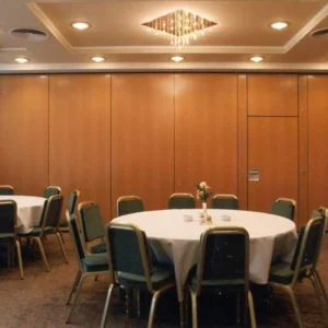 Multi - Function Room Folding Sound Proof Partition Walls With Aluminum Tracks Rollers