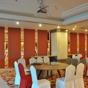 Office Aluminum Sliding Doors Operable Wall For Banquet Wedding Facility