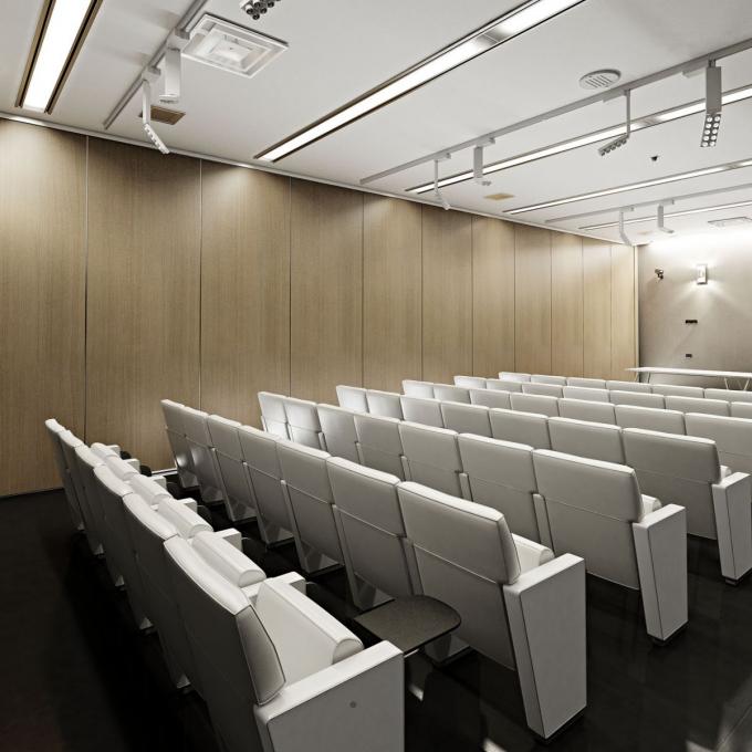 Operable Movable Sound Proof Partitions for Office / Conference Room 2
