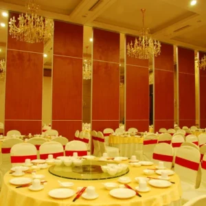 Red Fabric Plywood Single / Double Door Folding Partition Walls BUNGE Standards