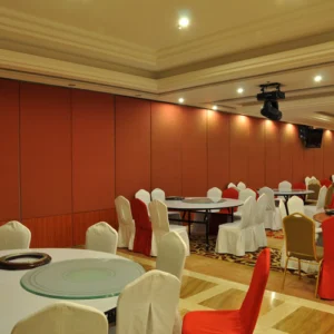 Restaurant Sliding Partition Walls , Folding Wall , Sound Proof Interior Door