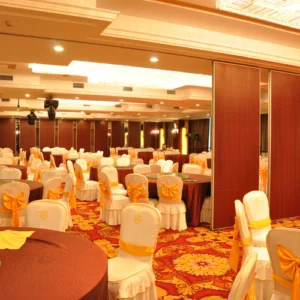 Sliding Door , Movable Partition Wall , VIP Wooden Partition Door