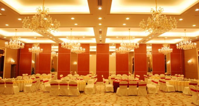 Star Hotel Free Standing Operable folding panel partitions System Multe Color 0