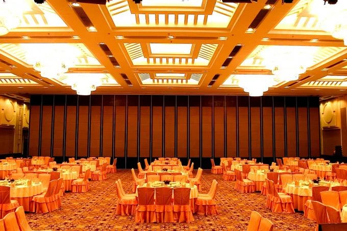 Training Room Folding Partitions , Acoustic Folding Partition For Hotel Banquet Hall 0