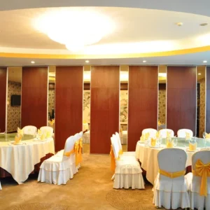 Vinyl Dancing Room Movable Modular Partition Walls For Meeting Room